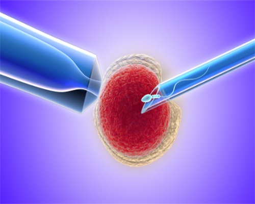医院供卵代孕包成功,俄罗斯各大试管医院三代试管  [了解俄罗斯试管婴儿的费