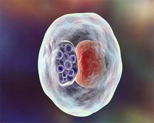 南京玛丽医院能做试管吗？