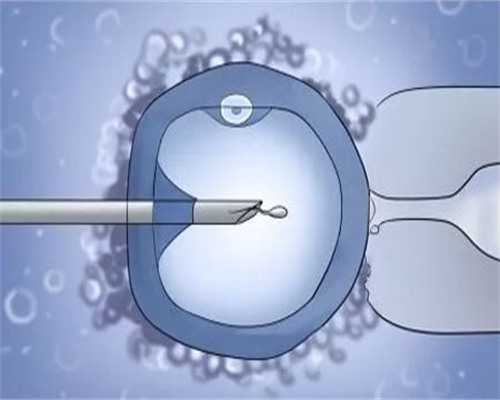 试管代孕动态，国内代生宝宝电话,囊胚试管婴儿植入后几天着床(试管囊胚胎移