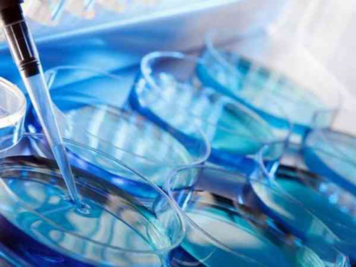 浙江有代孕吗2026！最新的参考值出炉了