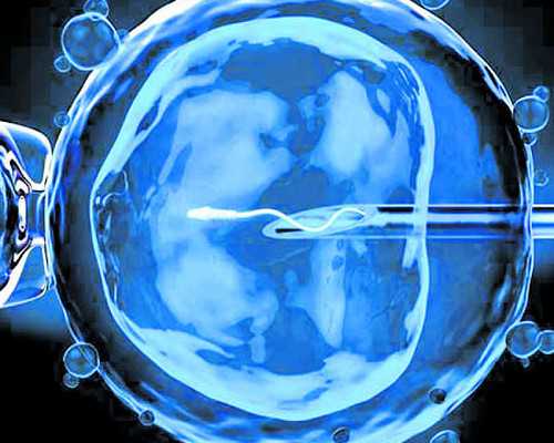 助孕试管电话，空卵泡对做第三代试管婴儿有影响吗