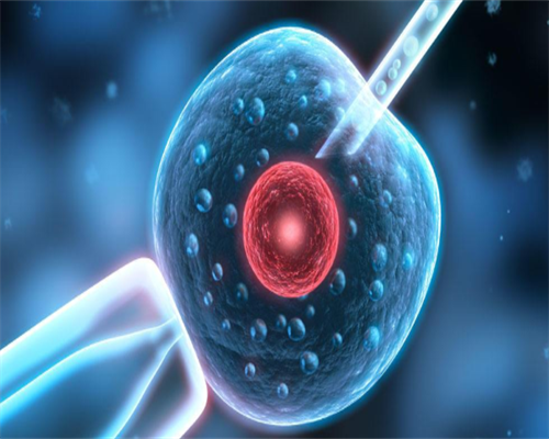 哪家代孕机构最好_借卵试管代孕,
              胚胎移植后除了黄体酮外还有哪些