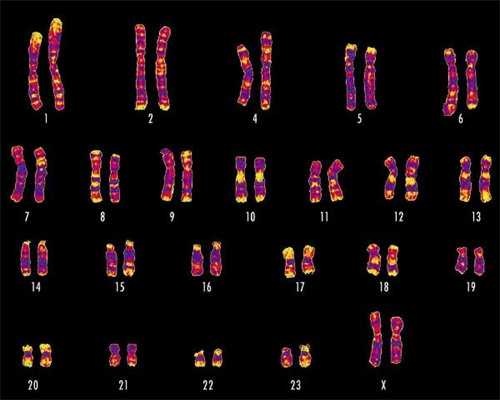 供卵代生咨询，如何判断受精卵是否着床成功