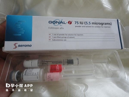 移植后做了春梦会不会影响着床或者胚胎发育