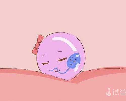 苏州可以做试管生龙凤胎吗医生在线咨询