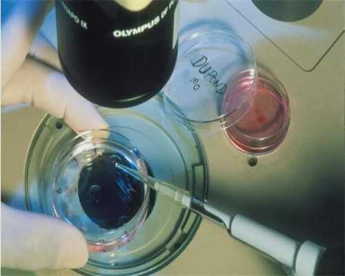 苏州市立医院试管婴儿怎么样啊多少钱一次