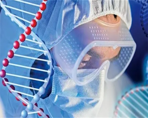 最好代孕服务,9周胎芽25mm还会不会胎停？