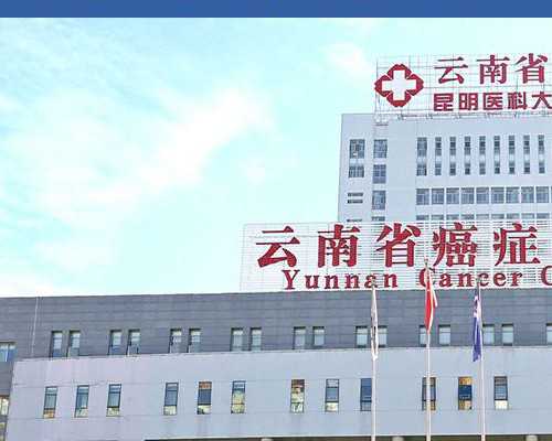 正规的代孕服务有哪些_借卵代孕大概费用,胚胎染色体异常做二代试管？胚胎染