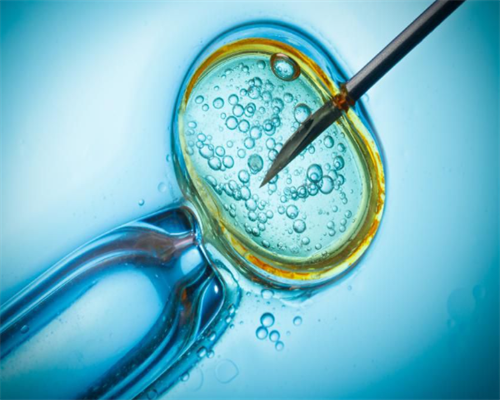 揭秘胚胎染色体三倍体异常的五大“元凶”