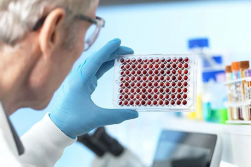 泰国代孕神州,做试管婴儿的胚胎要求是什么？