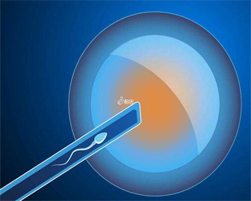 专业代生价格，高龄女性做冻囊胚移植后着床征兆