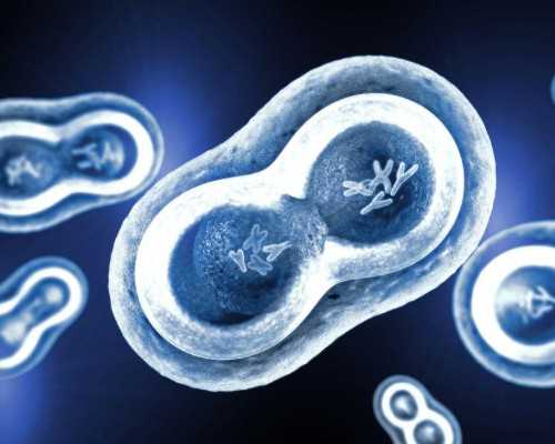 南京第三代试管包生男孩价格多少？南京生男孩医院推荐