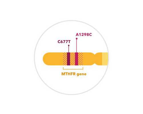 苏州代怀生子!乳房的这些变化都正常吗？