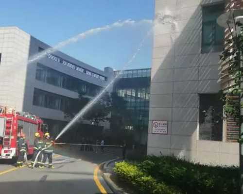 试管降调和不降调除了费用不同外还有哪些其他的区别？